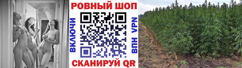 Купить закладку ГАШ COCAIN A PVP Амфетамин МЕФ Наволоки