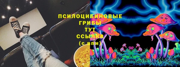 MESCALINE Аркадак