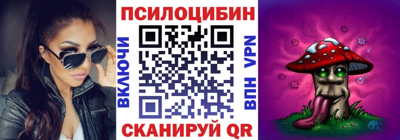 Купить  Наволоки  Галлюциногенные грибы Cubensis 